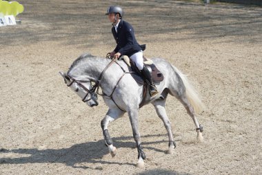 BURSA, TURKIYE - NİSAN 08, 2023: Türkiye Binicilik Federasyonu yarışında kimliği belirsiz binici atla atladı