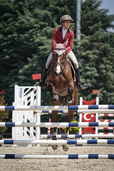 BURSA, TURKIYE - NİSAN 08, 2023: Türkiye Binicilik Federasyonu yarışında kimliği belirsiz binici atla atladı