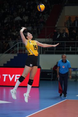 ISTANBUL, TURKIYE - 10 Aralık 2022: Kara Bajema Burhan Felek Spor Salonu 'nda Galatasaray HDI Sigorta vs Vakıfbank Türkiye Sultanlar Ligi karşılaşmasında görev yapıyor