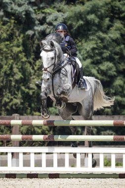 BURSA, TURKIYE - NİSAN 08, 2023: Türkiye Binicilik Federasyonu yarışında kimliği belirsiz binici atla atladı