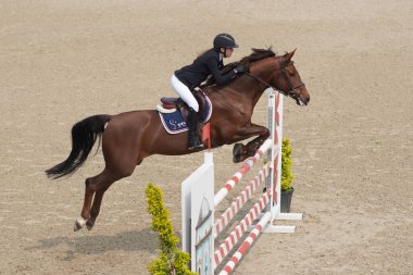 BURSA, TURKIYE - Nisan 09, 2023: Türkiye Binicilik Federasyonu yarışında kimliği belirsiz binici atla atladı