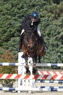 BURSA, TURKIYE - NİSAN 08, 2023: Türkiye Binicilik Federasyonu yarışında kimliği belirsiz binici atla atladı