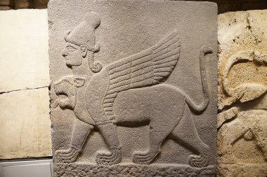 Ankara, Türkiye 'deki Anadolu Medeniyetleri Müzesinde Eski Oy