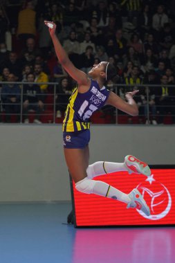 ISTANBUL, TURKIYE - 11 Mart 2023: Ana Cristina Souza, Burhan Felek Spor Salonu 'nda Fenerbahçe Opet-Galatasaray HDI Sigorta Türk Sultanlar Ligi karşılaşmasında hizmet veriyor