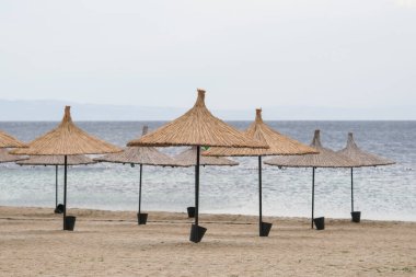 Güneş yatakları, şemsiyeler ve hamaklar Yazın bir plajda