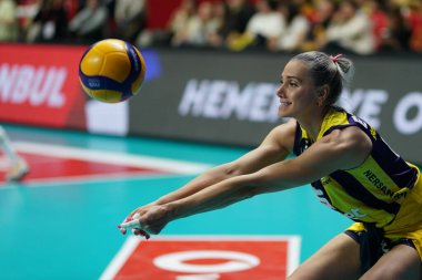 ISTANBUL, TURKIYE - FEBRUARY 04, 2024: Burhan Felek Spor Salonu 'nda oynanan Fenerbahçe Opet-Galatasaray Daikin maçı sırasında Ergul Avci