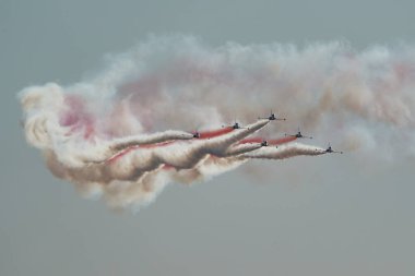 ESKISEHIR, TURKIYE - 16 Eylül 2023: Türk Hava Kuvvetleri akrobatik gösteri ekibi Türk Yıldızları Kanadalı NF-5A Özgürlük Savaşçısı Sivrihisar SHG Hava Gösterisinde sergilendi