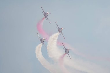 İSTANBUL, TURKIYE - MAYIS 01, 2023: Türk Yıldızları ve Türk Hava Kuvvetleri akrobatik gösteri ekibi İstanbul Teknofest sırasında İstanbul Atatürk Havalimanı 'nda sergilendi