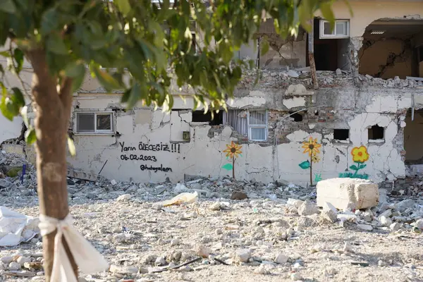HATAY, TURKIYE - 26 Şubat 2024: Hatay 'da 6 Şubat 2023 depremlerinden sonra hasar gören binalar