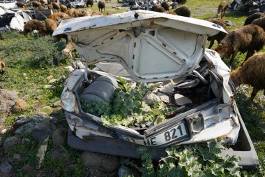 HATAY, TURKIYE - FEBRUARY 26, 2024: Crushed Vehicles during 6 February 2023 Hatay Earthquakes clipart