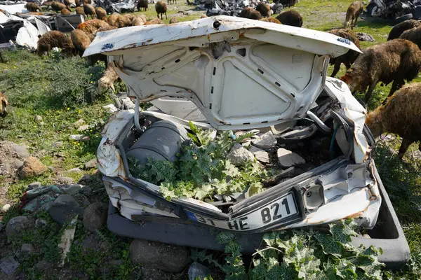 stock image HATAY, TURKIYE - FEBRUARY 26, 2024: Crushed Vehicles during 6 February 2023 Hatay Earthquakes