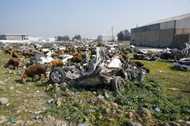 HATAY, TURKIYE - FEBRUARY 26, 2024: Crushed Vehicles during 6 February 2023 Hatay Earthquakes clipart