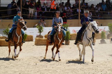 ISTANBUL, TURKIYE - Haziran 08, 2024: Etnospor Kültür Festivali 'nde Binicilik Şovu