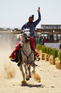 ISTANBUL, TURKIYE - Haziran 08, 2024: Etnospor Kültür Festivali 'nde Binicilik Şovu