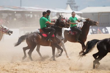 ISTANBUL, TURKIYE - Haziran 08, 2024: Etnospor Kültür Festivali 'nde Binicilik Şovu