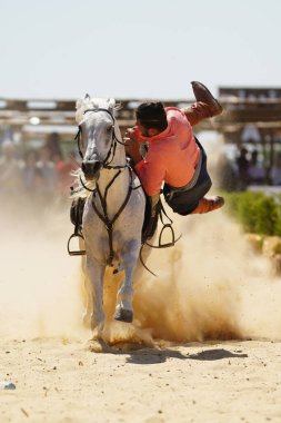 ISTANBUL, TURKIYE - Haziran 08, 2024: Etnospor Kültür Festivali 'nde Binicilik Şovu