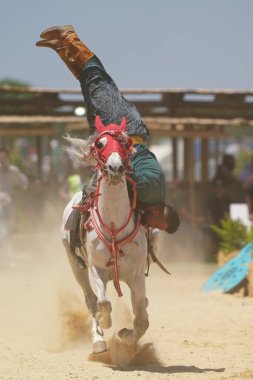 ISTANBUL, TURKIYE - Haziran 08, 2024: Etnospor Kültür Festivali 'nde Binicilik Şovu