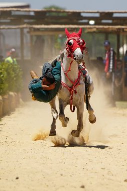 ISTANBUL, TURKIYE - Haziran 08, 2024: Etnospor Kültür Festivali 'nde Binicilik Şovu
