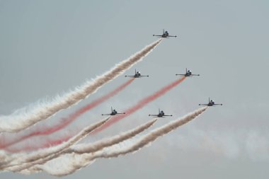 ESKISEHIR, TURKIYE - 16 Eylül 2023: Türk Hava Kuvvetleri akrobatik gösteri ekibi Türk Yıldızları Kanadalı NF-5A Özgürlük Savaşçısı Sivrihisar SHG Hava Gösterisinde sergilendi