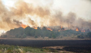 Gelibolu 'da orman yangını, Çanakkale Şehri, Türkiye