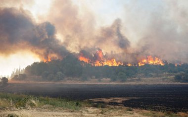 Gelibolu 'da orman yangını, Çanakkale Şehri, Türkiye