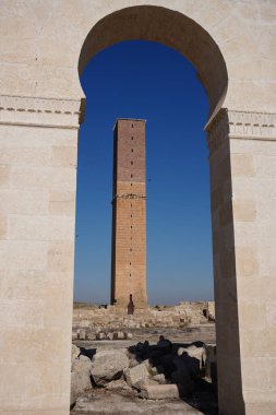 Harran Ulu Camii 'ndeki kule ve Şanlıurfa Üniversitesi, Türkiye