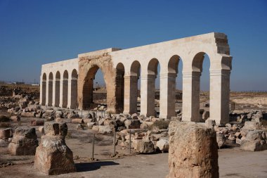 Harran Ulu Camii 'nin kalıntıları ve Şanlıurfa Üniversitesi, Türkiye