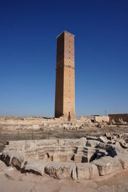 Harran Ulu Camii 'ndeki kule ve Şanlıurfa Üniversitesi, Türkiye