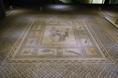 GAZIANTEP, TURKIYE - Şubat 01, 2025: Zeugma Mozaik Müzesinde Antiope Mozaiği