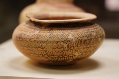 SANLIURFA, TÜRKİYE - Şubat 02, 2025: Şanlıurfa Arkeoloji ve Mozaik Müzesi 'nde Eser