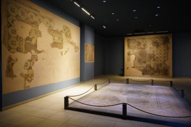 GAZIANTEP, TURKIYE - Şubat 01, 2025: Zeugma Mozaik Müzesi