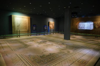 GAZIANTEP, TURKIYE - Şubat 01, 2025: Zeugma Mozaik Müzesi