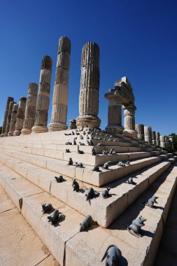 Apollon Smintheion, Çanakkale Şehri, Türkiye