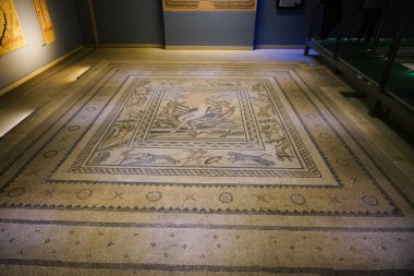 GAZIANTEP, TURKIYE - Şubat 01, 2025: Zeugma Mozaik Müzesinde Mozaik
