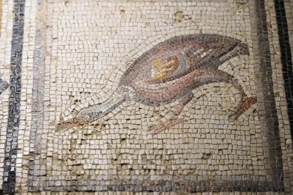 GAZIANTEP, TURKIYE - Şubat 01, 2025: Zeugma Mozaik Müzesinde Mozaik