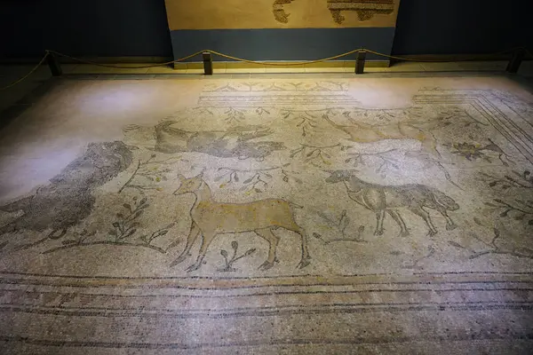 GAZIANTEP, TURKIYE - Şubat 01, 2025: Zeugma Mozaik Müzesinde Mozaik