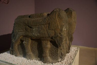 SANLIURFA, TÜRKİYE - Şubat 02, 2025: Şanlıurfa Arkeoloji ve Mozaik Müzesi 'nde Heykel