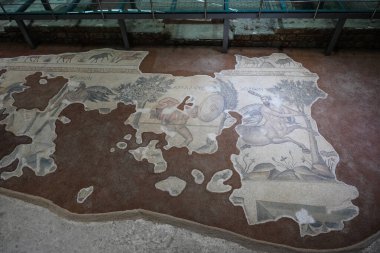 SANLIURFA, TÜRKİYE - Şubat 02, 2025: Sanliurfa 'daki Haleplibahce Mozaik Müzesi