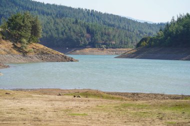 Sıcak Yaz Gününde Kuru Göl