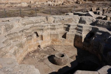 Harran Ulu Camii 'nin kalıntıları ve Şanlıurfa Üniversitesi, Türkiye