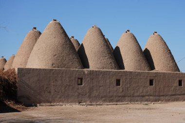 Harran, Sanliurfa City, Türkiye 'deki arı kovanında.
