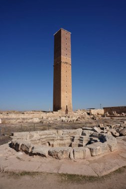 Harran Ulu Camii 'ndeki kule ve Şanlıurfa Üniversitesi, Türkiye