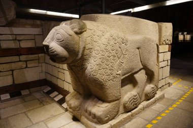 ANKARA, TURKIYE - 30 Mart 2025: Anadolu Medeniyetler Müzesinde Aslan Heykeli, Ankara