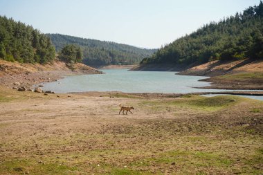 Sıcak Yaz Gününde Kuru Göl