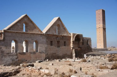Harran Ulu Camii 'nin kalıntıları ve Şanlıurfa Üniversitesi, Türkiye