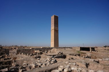 Harran Ulu Camii 'nin kalıntıları ve Şanlıurfa Üniversitesi, Türkiye