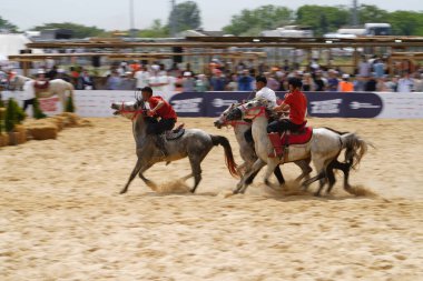 ISTANBUL, TURKIYE - 24 Mayıs 2025: Etnospor Kültür Festivali sırasında Kokboru Oyunu