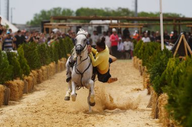 İSTANBUL, TURKIYE - 24 Mayıs 2025: Etnospor Kültür Festivali 'nde Binicilik Şovu