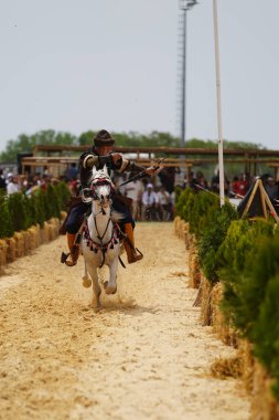 İSTANBUL, TURKIYE - 24 Mayıs 2025: Etnospor Kültür Festivali 'nde Binicilik Şovu