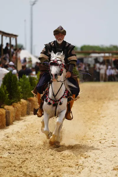 İSTANBUL, TURKIYE - 24 Mayıs 2025: Etnospor Kültür Festivali 'nde Binicilik Şovu